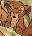 Thumbnail for version as of 11:04, 11 January 2012